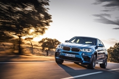 BMW X6 M 2015