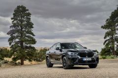 BMW X6M