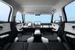 Dongfeng Box 2024