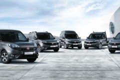 Fiat Doblo 263 2015