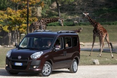 Fiat Doblo 2009