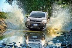 Fiat Panda 4x4 2017