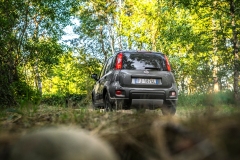 Fiat Panda 4x4 2017