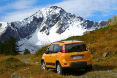 Fiat Panda Trekking 2012