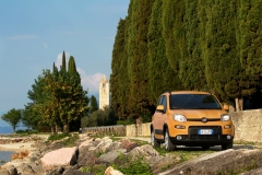 Fiat Panda Trekking 2012