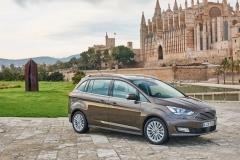 Ford Grand C-Max 2014