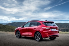 Ford Kuga mHEV ST-Line X 2020