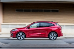 Ford Kuga mHEV ST-Line X 2020