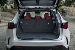 Lexus NX 2021