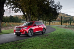 Peugeot 2008 2019