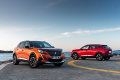 Peugeot 2008 2019
