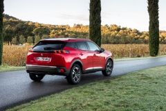 Peugeot 2008 2019