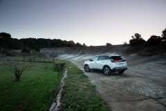 Peugeot 3008 GT Hybrid4 2020