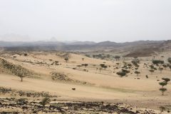 Rallye Dakar 2023