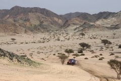 Rallye Dakar 2023