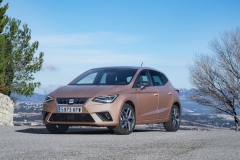 Seat Ibiza TGI KJ 2017