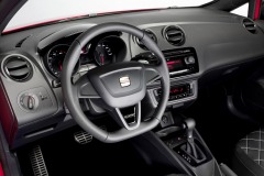 Seat Ibiza Cupra 2009