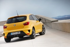 Seat Ibiza Cupra 2009