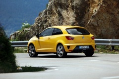 Seat Ibiza Cupra 2009