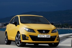 Seat Ibiza Cupra 2009