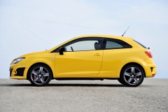 Seat Ibiza Cupra 2009