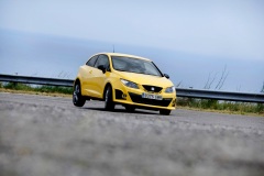Seat Ibiza Cupra 2009