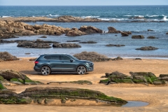 Seat Tarraco Xcellence 2018