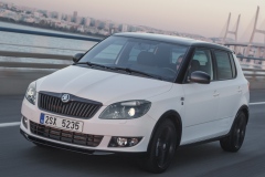 Škoda Fabia Monte Carlo 2013