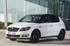 Škoda Fabia Monte Carlo 2013