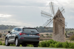 Škoda Kodiaq 2016