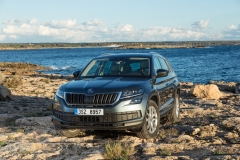 Škoda Kodiaq 2016