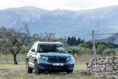 Škoda Kodiaq 2016