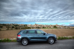 Škoda Kodiaq 2016