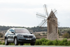 Škoda Kodiaq 2016