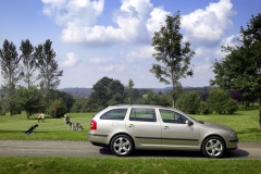 Škoda Octavia Combi 2004