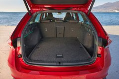 Škoda Octavia RS 2024