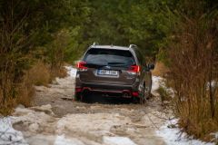 Subaru Forester e-Boxer 2022