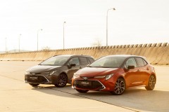 Toyota Corolla E210 2018