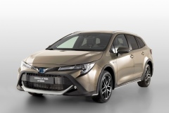 Toyota Corolla Trek 2019