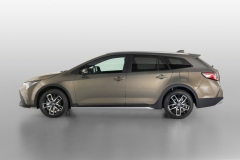 Toyota Corolla Trek 2019