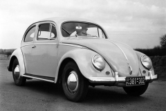 Volkswagen Brouk