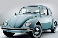 Volkswagen Brouk Ultima Edicion 2003