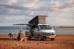 Volkswagen California T6.1 Ocean 2019