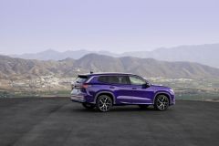 Volkswagen Tayron 2024
