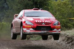Peugeot 307 WRC 2005
