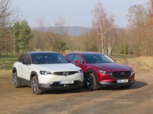 Mazda MX-30 vs. CX-30 2022