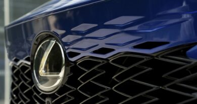 Lexus RX 2022 detail